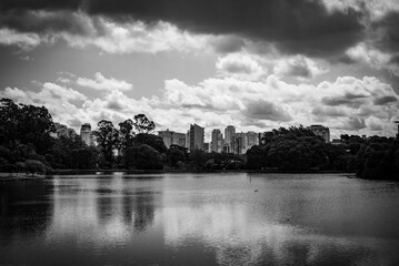 Fototapeta premium ibirapuera park