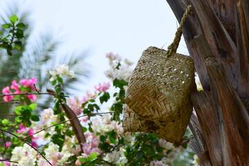 Human hand made dates tree box tool. palm leaf dry jar hanging on wood in garden, brown background culture thing Arabic style picture