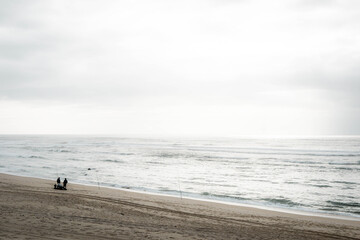people admiring the vastness of the sea from a beach