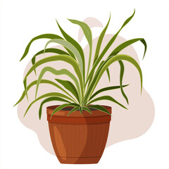 A beautiful drawing of a houseplant. Chlorophytum. Colorful vector image.;