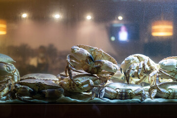 crabs in a fish tank in a restaurant