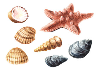 Starfish and seashells set. Hand drawn watercolor illustration isolated on white background