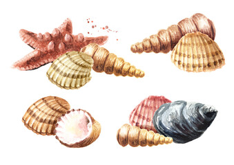 Starfish and seashells set. Hand drawn watercolor illustration, isolated on white background