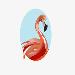 illustration of a flamingo