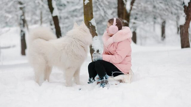 girl with a dog Samoyed