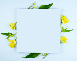 Spring composition. Yellow flowers, paper blank on pastel blue background. Flat lay, top view, copy space, mock up.