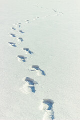 Human footprints on snow. Footsteps on winter frozen lake surface