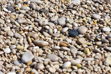 Round wet sea pebbles background, soft focus. Colorful smooth round pebbles sea texture backdrop 