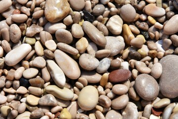 Fototapeta na wymiar Round wet sea pebbles background, soft focus. Colorful smooth round pebbles sea texture backdrop 