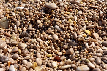 Round wet sea pebbles background, soft focus. Colorful smooth round pebbles sea texture backdrop 