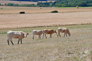 Authevernes; France - july 22 2020 : the picturesque village