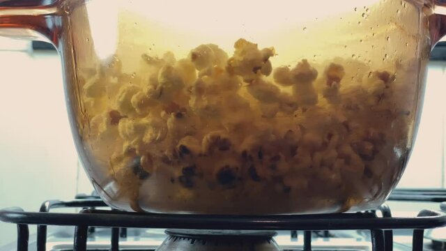 Burnt popcorn! Hot glass pan with popping popcorn seeds from gas stove. Maize seeds for making popcorn at home. 60 fps, close, front view.