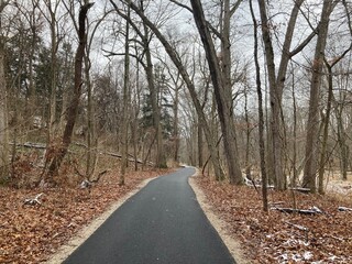trail in the forest