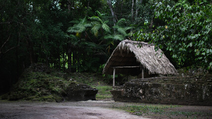 Fototapeta na wymiar Thatched-roof hut in the jungle