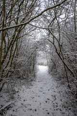 Winterliche Landschaft