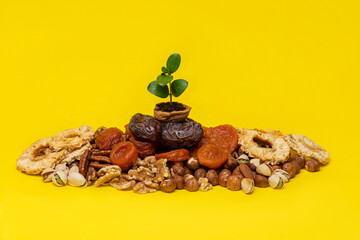 Green sprout in a walnut shell on mix of dried fruits and nuts on a yellow background.  Symbols of the Jewish holiday of Tu Bishvat (B'Shevat)