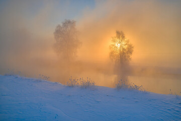 Incredible sunlight illuminates trees covered with frost. Crystal white trees in winter morning near river