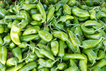 green pepper background image