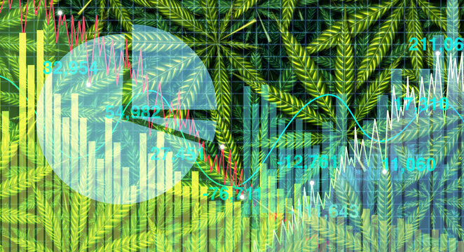 Marijuana stocks and investing in cannabis stock as a business selling pot and seed on the stock market