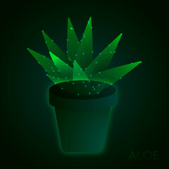 vector illustration of aloe vera plant in glowing style