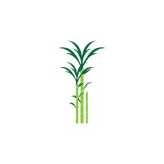 Sugarcan icon