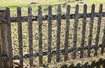 The wooden picket fence is abundantly covered with gray moss with the onset of spring