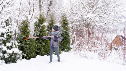 Figure 2. After clearing snow from garden conifers. The gardener cleans the snow from the trees...