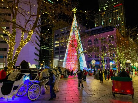 Denver holiday decorations on Christmas Eve