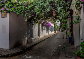 Fototapeta na wymiar street in the old town Cartagena de Indias Colombia
