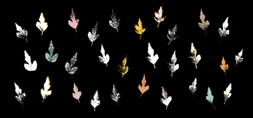 Grunge leaves set. Abstract foliage. Autumn leaves pastel colors collection. Hibiscus leaf. Hibiscus syriacus foliage.