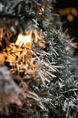 close up of christmas tree