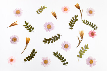 Natural dried flowers pattern on white bakground