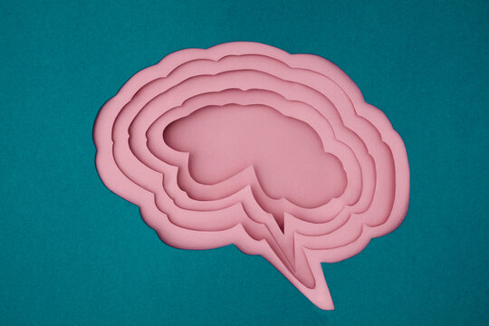 Paper Brain