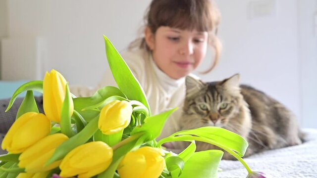 Flowers for mom on Women's Day on March 8 or Mother's. Day Gift for mom. Child and cat. FullHD footage