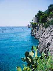 view of the Amalfi coast with tower, cactus and boats