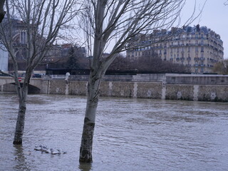 The Seine river in floods in Paris. the 9th february 2021 with winter conditions.