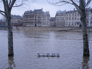 The Seine river in floods in Paris. the 9th february 2021 with winter conditions.