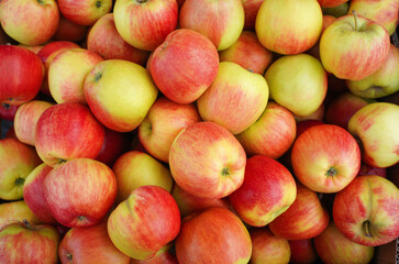 red apples in a box