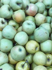 green apples harvest close up