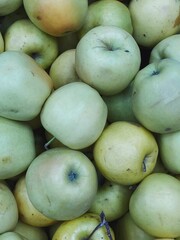 green apples harvest close up