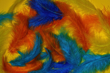 The feathers are multicolored on a yellow background. Abstraction