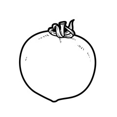 Tomato linear drawing on white background