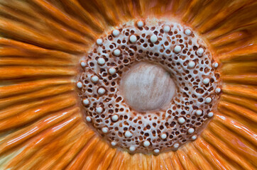 closeup of flower pattern in ceramic base