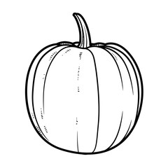 Pumpkin linear drawing on white background