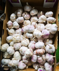 garlic bulbs lie in a box in a grocery store for retail sale