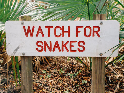 Hand painted sign warning of snakes