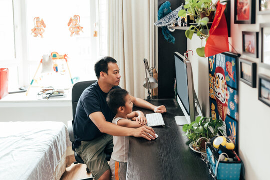 Father and son using computer at home