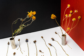 Abstract yellow dried flowesr. Over simple geometric red black white background. Art concept for interior. Set desgin