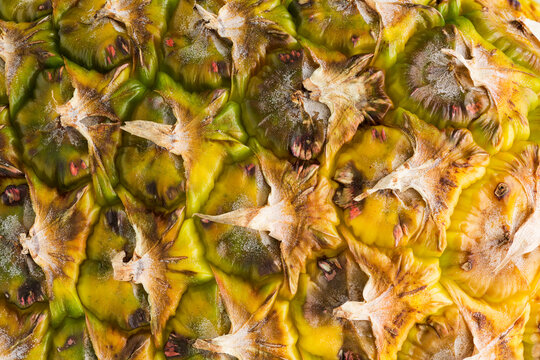 Fresh pineapple, macro