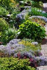 spring flowers in the garden